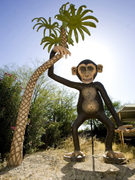 Tucson Oddity: Magic Carpet's quirky beings take up new lives across city